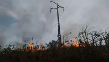 Imagem ilustrativa da notícia Período de queimadas gera perigos na rede elétrica