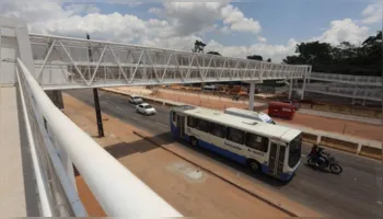 Imagem ilustrativa da notícia Governo do Pará vai abrir licitação para compra de ônibus