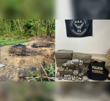 Imagem ilustrativa da imagem PF desmantela laboratório e apreende 235 kg de skunk no PA
