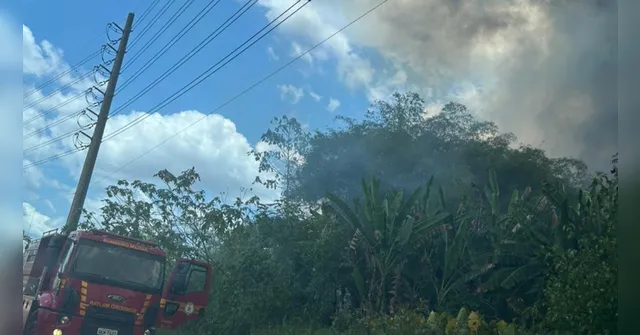 Imagem ilustrativa da notícia Vídeo: foco de incêndio é registrado em Águas Lindas