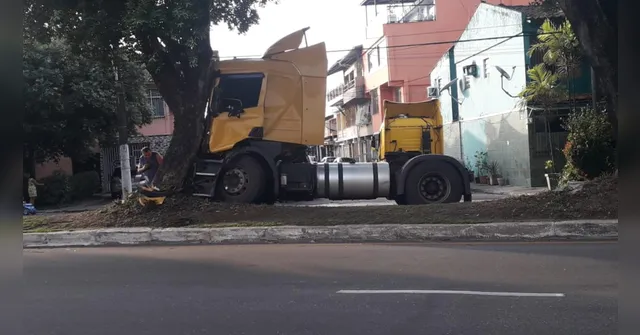 Imagem ilustrativa da notícia Caminhão colide com árvore na Pedro Álvares Cabral