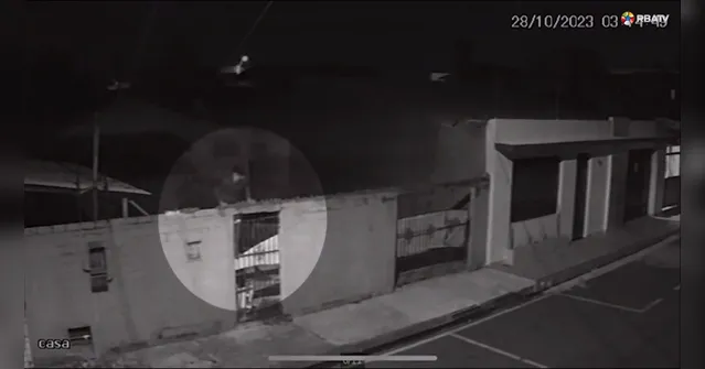 Imagem ilustrativa da notícia Vídeo: assaltante leva cadeiras de casa na Cidade Nova