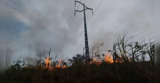 Imagem ilustrativa da notícia Período de queimadas gera perigos na rede elétrica