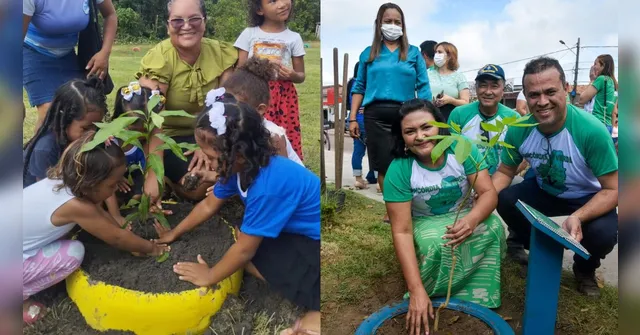Imagem ilustrativa da notícia Concórdia do Pará ganha dez mil árvores com plantio de mudas