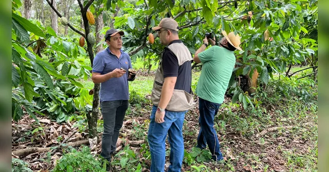 Imagem ilustrativa da notícia Software que identifica pragas por IA é certificado no INPI