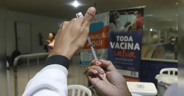 Imagem ilustrativa da notícia Pesquisa mostra que maioria dos paraenses confia nas vacinas