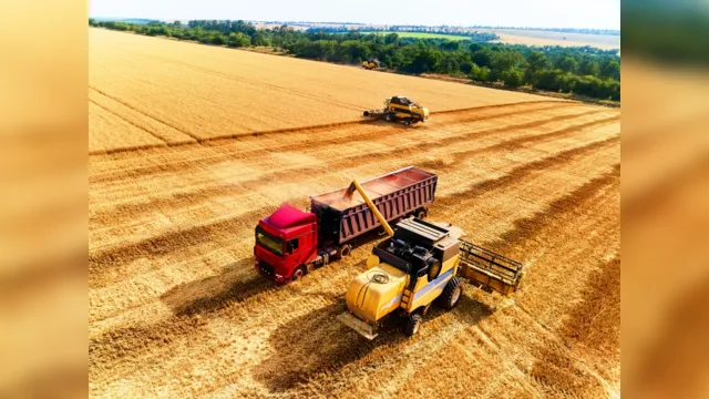 Imagem ilustrativa da notícia Qual é a melhor escolha para as máquinas agrícolas?