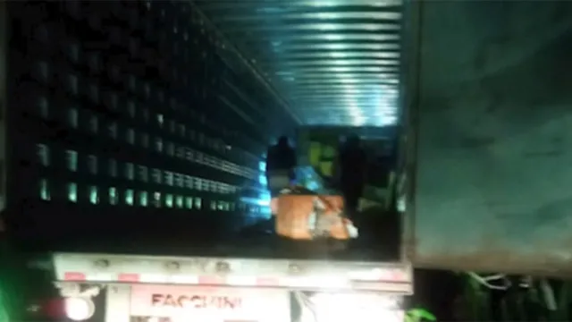 Imagem ilustrativa da notícia Vídeo: caminhoneiro é assaltado em rodovia no Pará