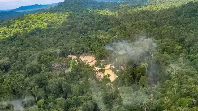 Imagem ilustrativa da notícia Operação retira invasores de terras indígenas no Pará