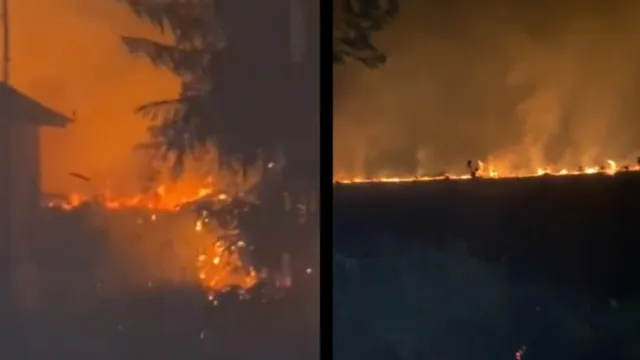 Imagem ilustrativa da notícia Vídeo: incêndio atinge casa e se alastra em mata de Cotijuba