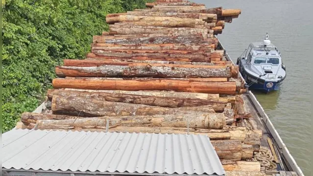 Imagem ilustrativa da notícia Marajó: Mais de 400 metros de madeira ilegal são apreendidos