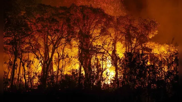 Imagem ilustrativa da notícia Pantanal tem mais de 3 mil incêndios em novembro