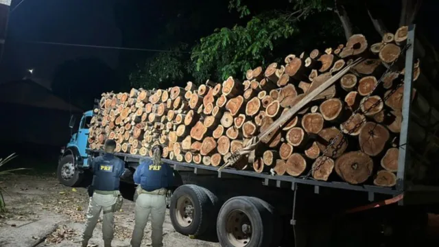 Imagem ilustrativa da notícia PRF apreende 40 m³ de madeira ilegal em Marabá
