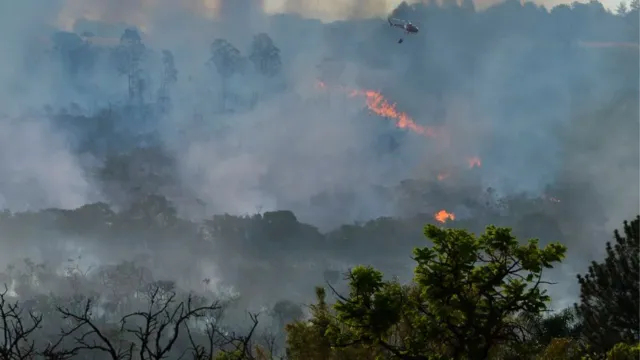 Imagem ilustrativa da notícia Pará lidera o número de queimadas no Brasil em 2023