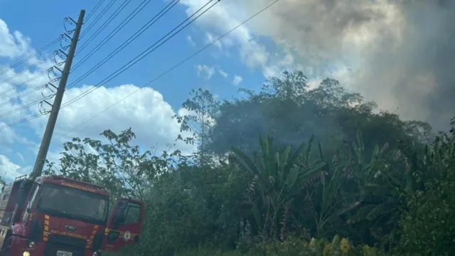 Imagem ilustrativa da notícia Vídeo: foco de incêndio é registrado em Águas Lindas