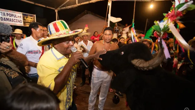 Imagem ilustrativa da notícia Mestre Damasceno realiza 1º festival de Boi-Bumbá no Pará