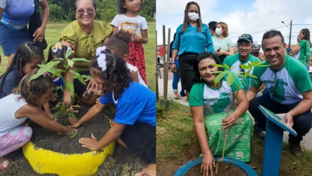 Imagem ilustrativa da notícia Concórdia do Pará ganha dez mil árvores com plantio de mudas