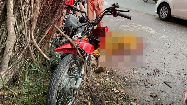 Imagem ilustrativa da notícia Motociclista colide contra árvore e morre no bairro do Guamá