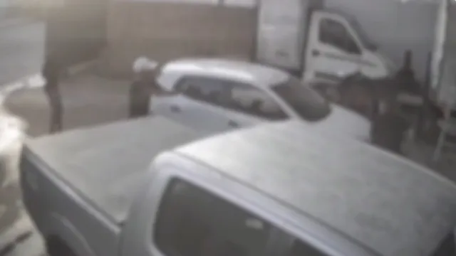 Imagem ilustrativa da notícia Vídeo: policial é baleado após tentativa de assalto em Belém