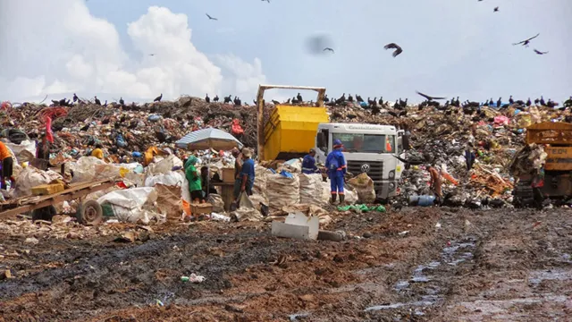 Imagem ilustrativa da notícia Apenas 5 cidades do Pará têm unidades de tratamento de lixo