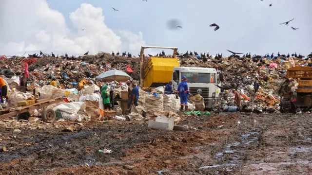 Imagem ilustrativa da notícia Política de Resíduos impacta na crise do lixo em Belém