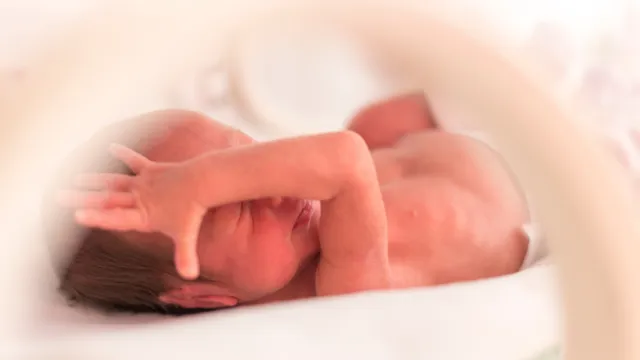 Imagem ilustrativa da notícia Novembro roxo: bebês prematuros merecem cuidados amplos