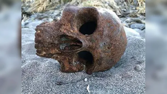Imagem ilustrativa da notícia Crânio de metal é encontrado em praia dos EUA