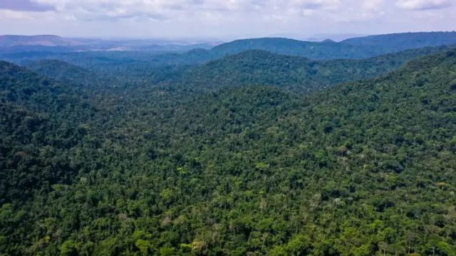 Imagem ilustrativa da notícia  Brasil não está preparado para mudanças climáticas