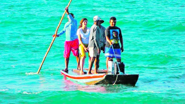 Imagem ilustrativa da notícia Pará tem mais de 100 mil mulheres atuando na pesca