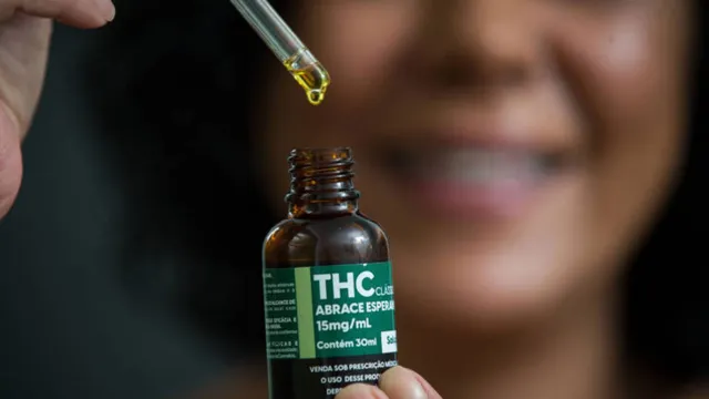 Imagem ilustrativa da notícia Remédios à base de cannabis serão distribuídos pelo SUS