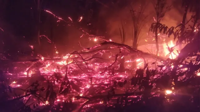 Imagem ilustrativa da notícia Incêndio de grandes proporções atinge ilha de Cotijuba
