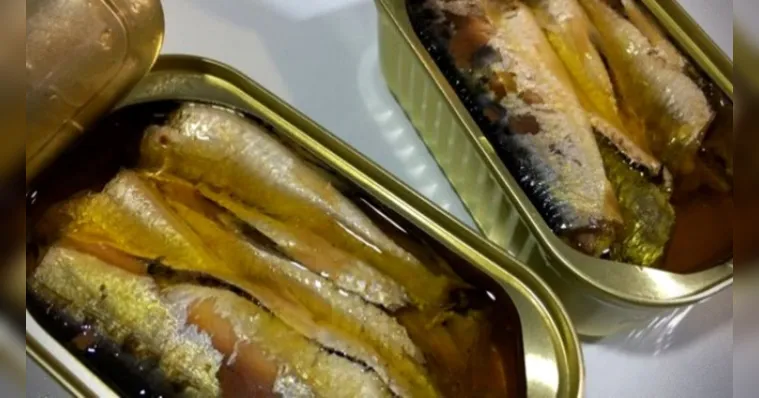 Imagem ilustrativa da notícia Óleo da lata da sardinha faz mal? É perigo para hipertensos?