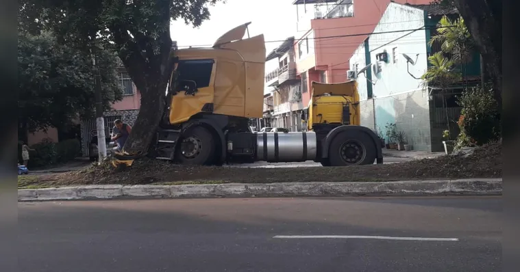 Imagem ilustrativa da notícia Caminhão colide com árvore na Pedro Álvares Cabral