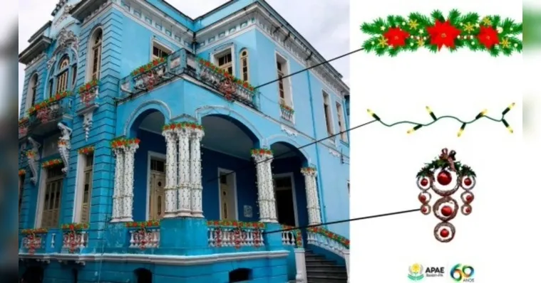 Imagem ilustrativa da notícia APAE faz campanha de Natal para decoração de prédio sede