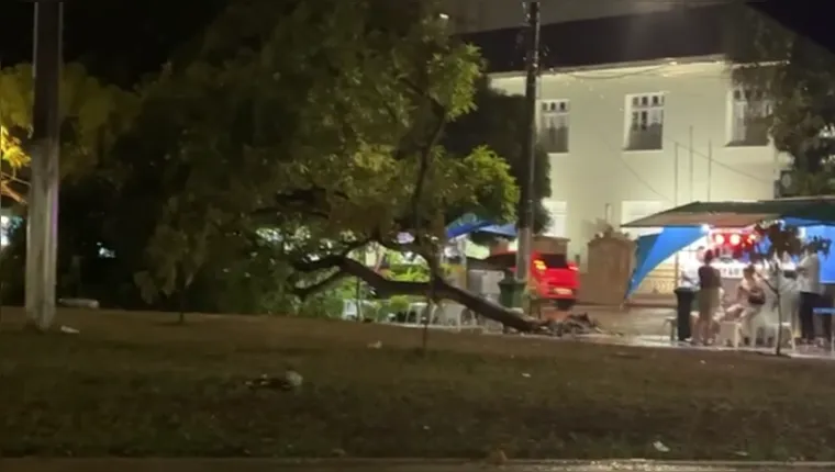 Imagem ilustrativa da notícia Vídeo: Chuva forte causa queda de árvore no Umarizal