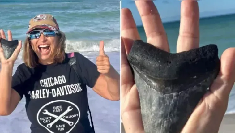 Imagem ilustrativa da notícia Mulher encontra dente de tubarão pré-histórico na praia