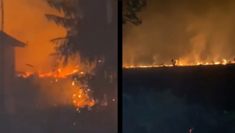 Imagem ilustrativa da notícia Vídeo: incêndio atinge casa e se alastra em mata de Cotijuba
