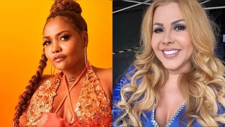 Imagem ilustrativa da notícia Alepa: obra de Gaby e Joelma podem virar Patrimônio do Pará