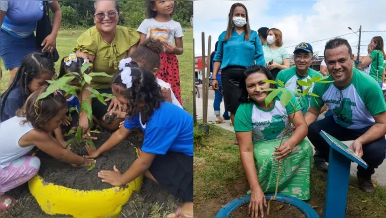 Imagem ilustrativa da notícia Concórdia do Pará ganha dez mil árvores com plantio de mudas