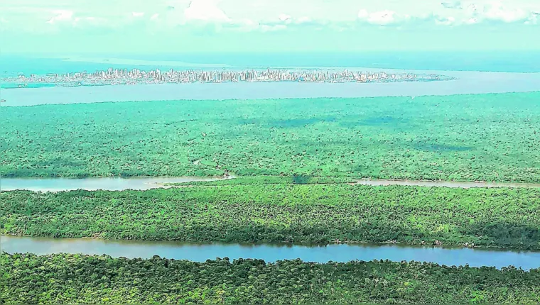 Imagem ilustrativa da notícia COP 30: A Amazônia no centro da discussão
