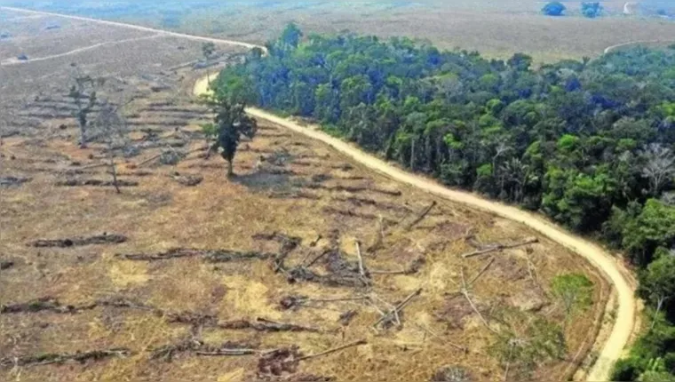 Imagem ilustrativa da notícia Desmatamento é recorde em setembro no cerrado