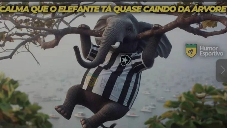 Imagem ilustrativa da notícia Botafogo perde mais uma e  vira meme