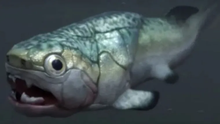 Imagem ilustrativa da notícia "Coração 3D" é encontrado em peixe pré-histórico