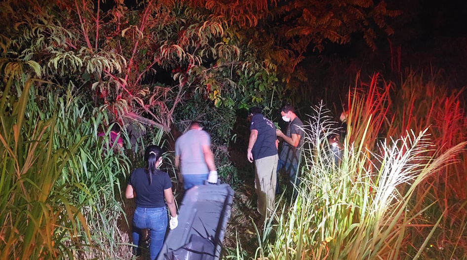 Desnutrido, cavalo é encontrado amarrado em mata do bairro Poço Fundo