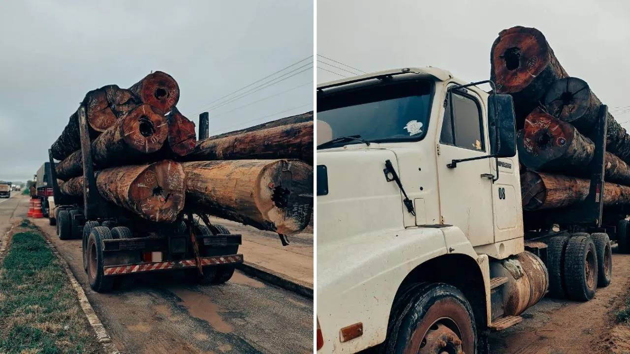 A PRF abordou um caminhão que transportava 59 m³ de madeira em toras