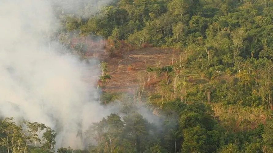 A área desmatada equivale a mais de dois mil campos de futebol destruídos