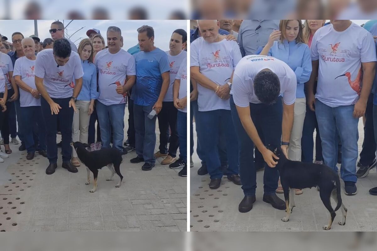 Governador do Pará acalma cadela com medo de drone 
