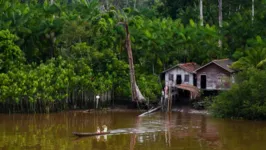 Arquipélago do Marajó se tornou destaque em publicações nas redes sociais nos últimos dias.