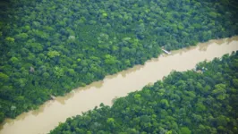 Amazônia se tornou o principal foco do mundo.