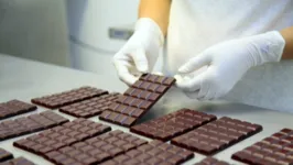 Mais de 120 paraenses foram escolhidos para vagas de avaliadores de chocolate e cacau em Belém